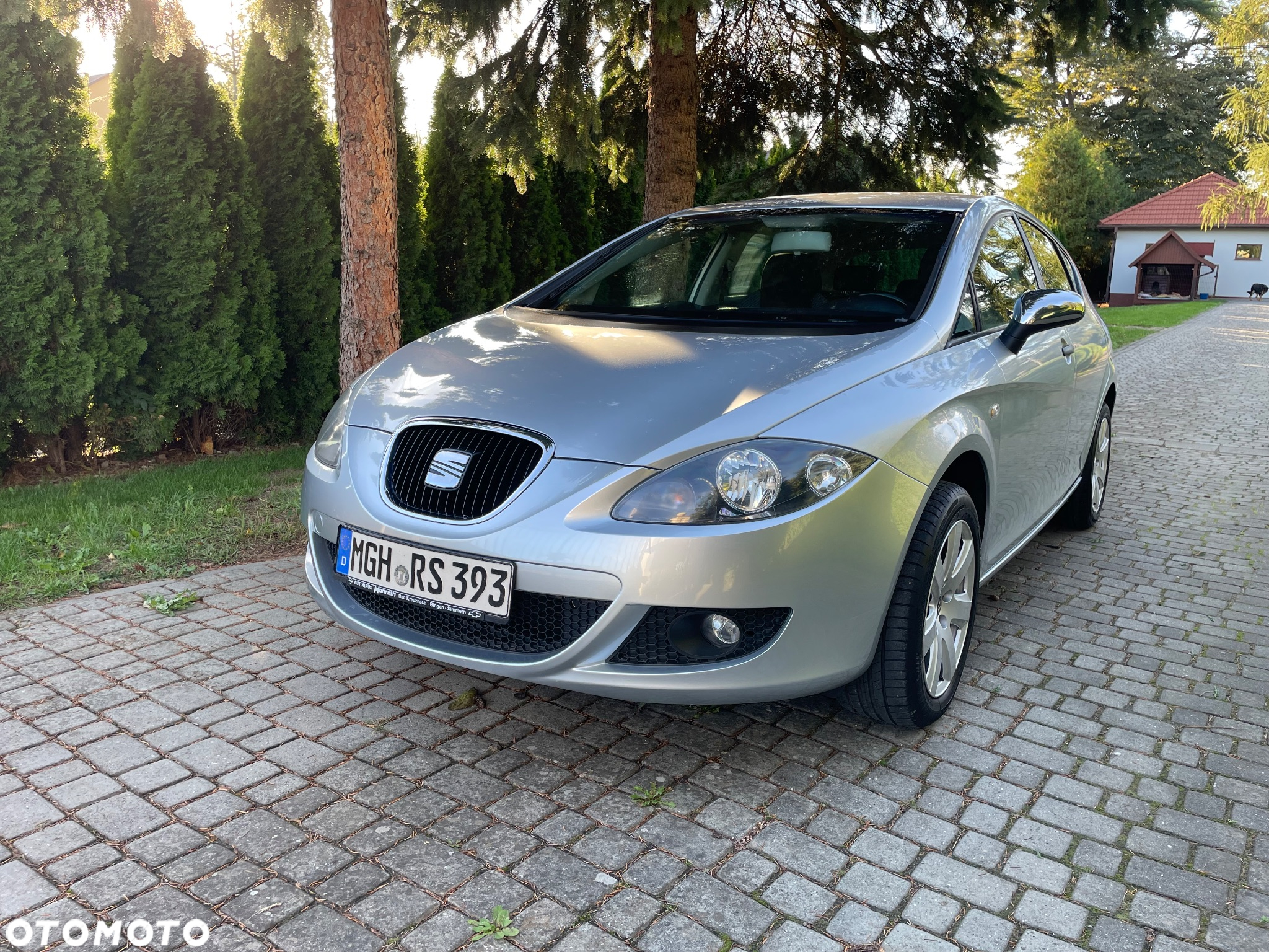 Seat Leon - 10