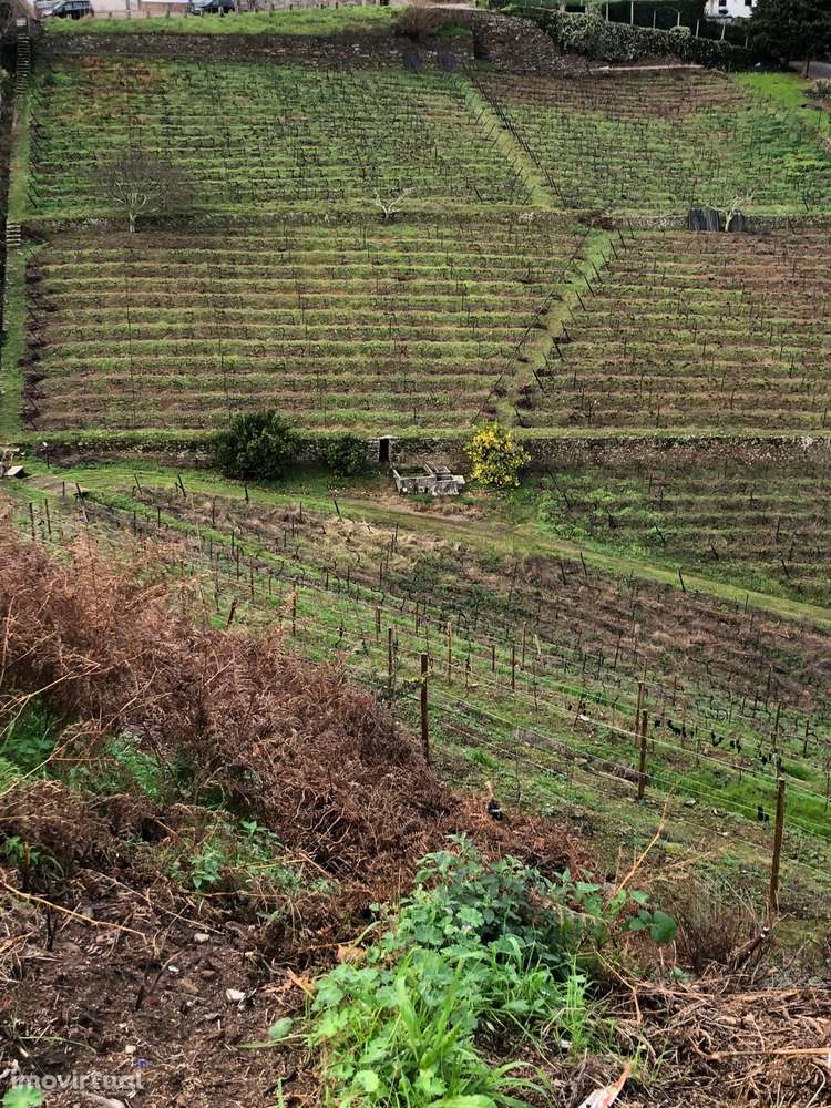 Venda de Quinta - Vistas do rio Douro - Grande imagem: 5/11