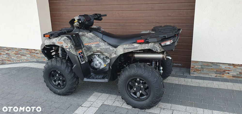 Kawasaki Brute Force - 2