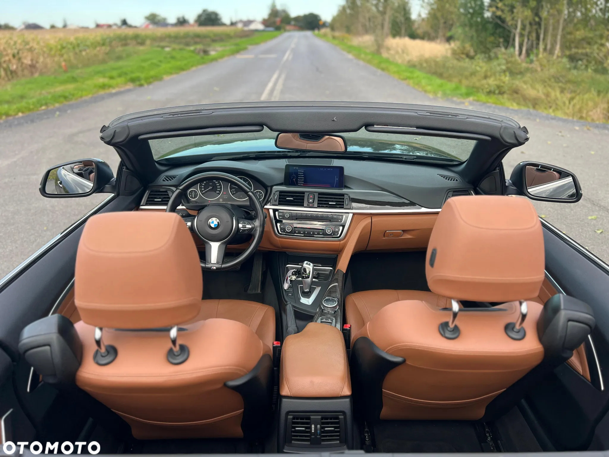 BMW Seria 4 420d Cabrio Luxury Line - 9