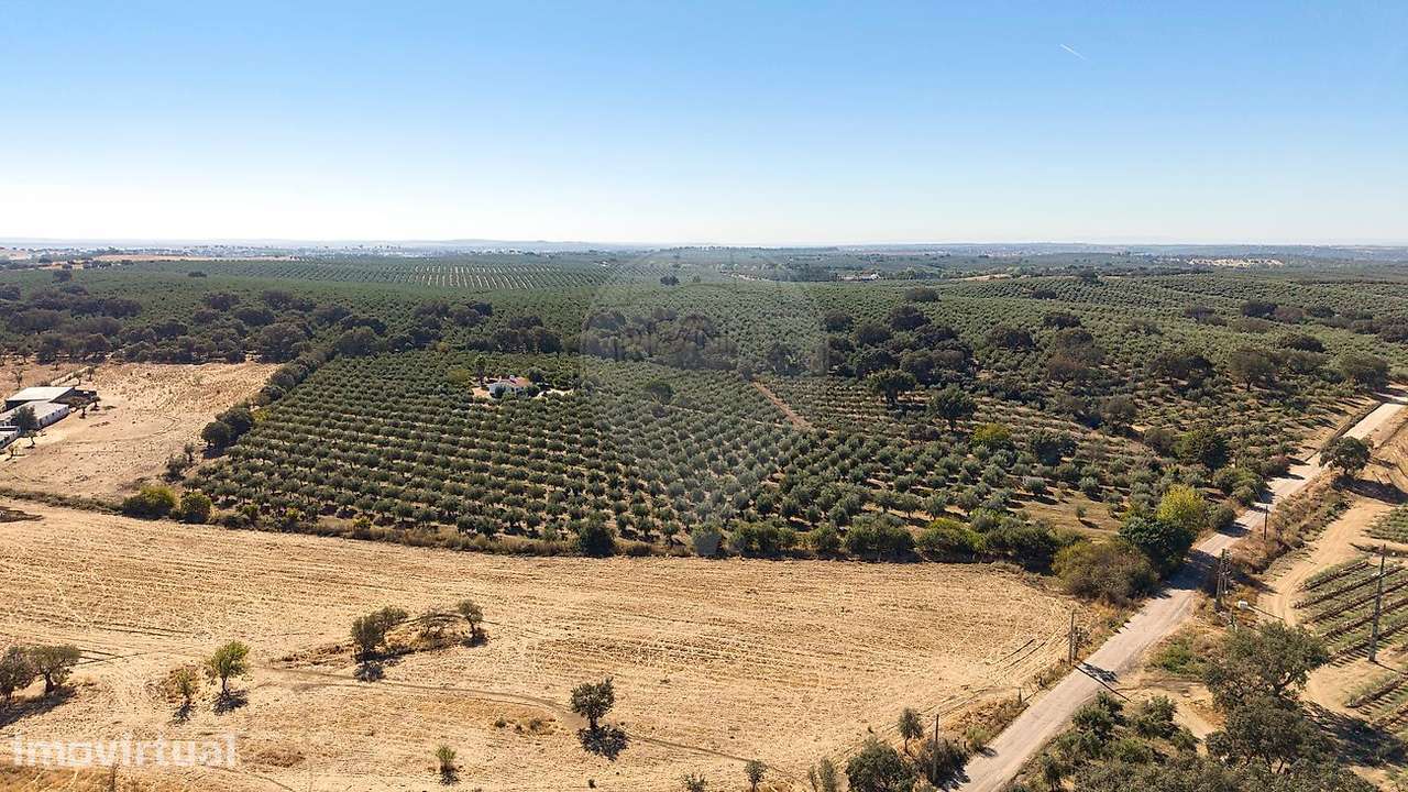 Terreno  para venda - Grande imagem: 4/39
