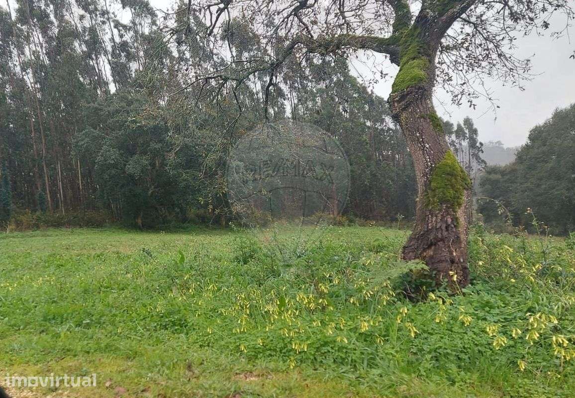 Terreno  para venda - Grande imagem: 2/4