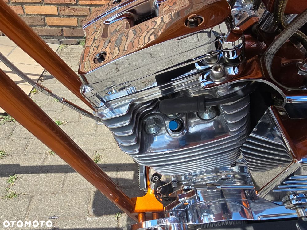 Harley-Davidson Inny - 22