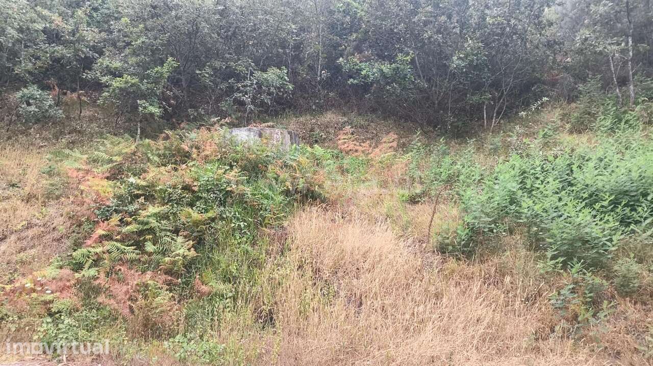 Terreno para Construção / Marco de Canaveses, Soalhães - Grande imagem: 4/8