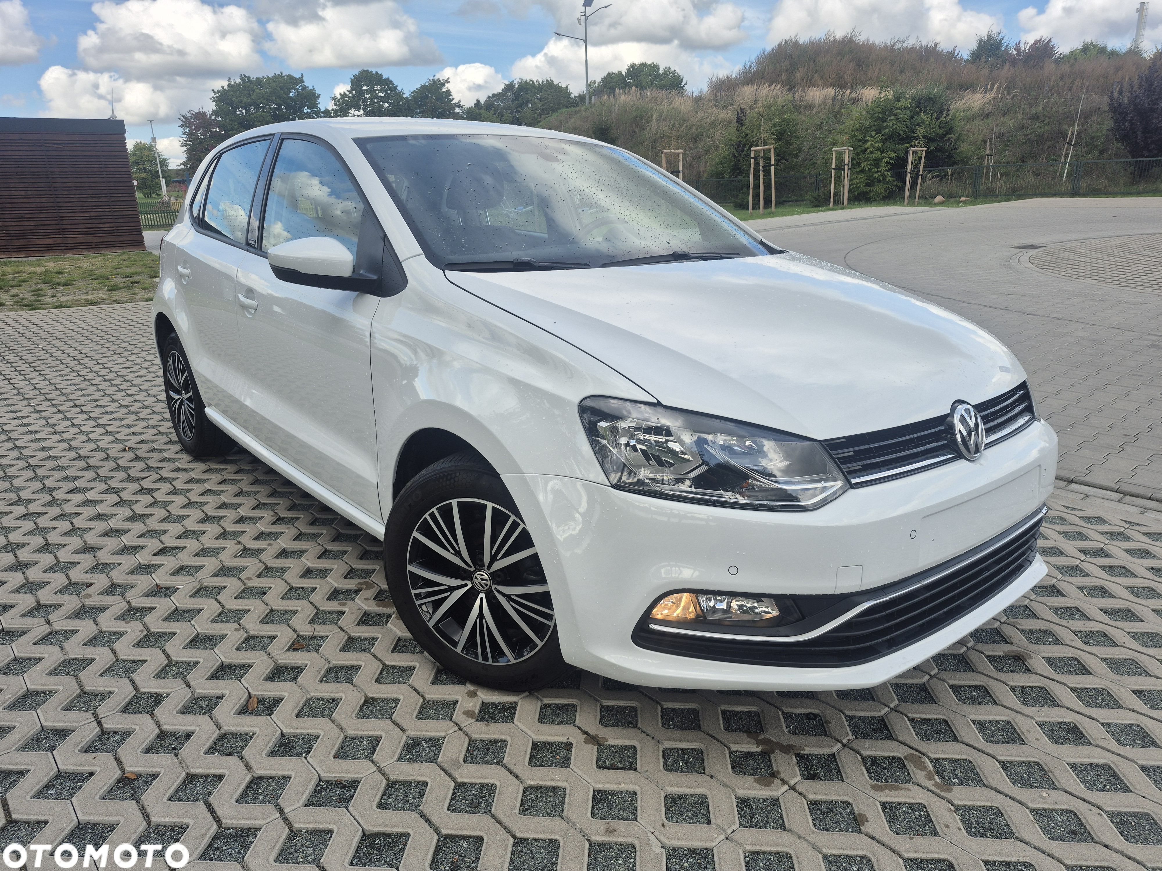 Volkswagen Polo - 7