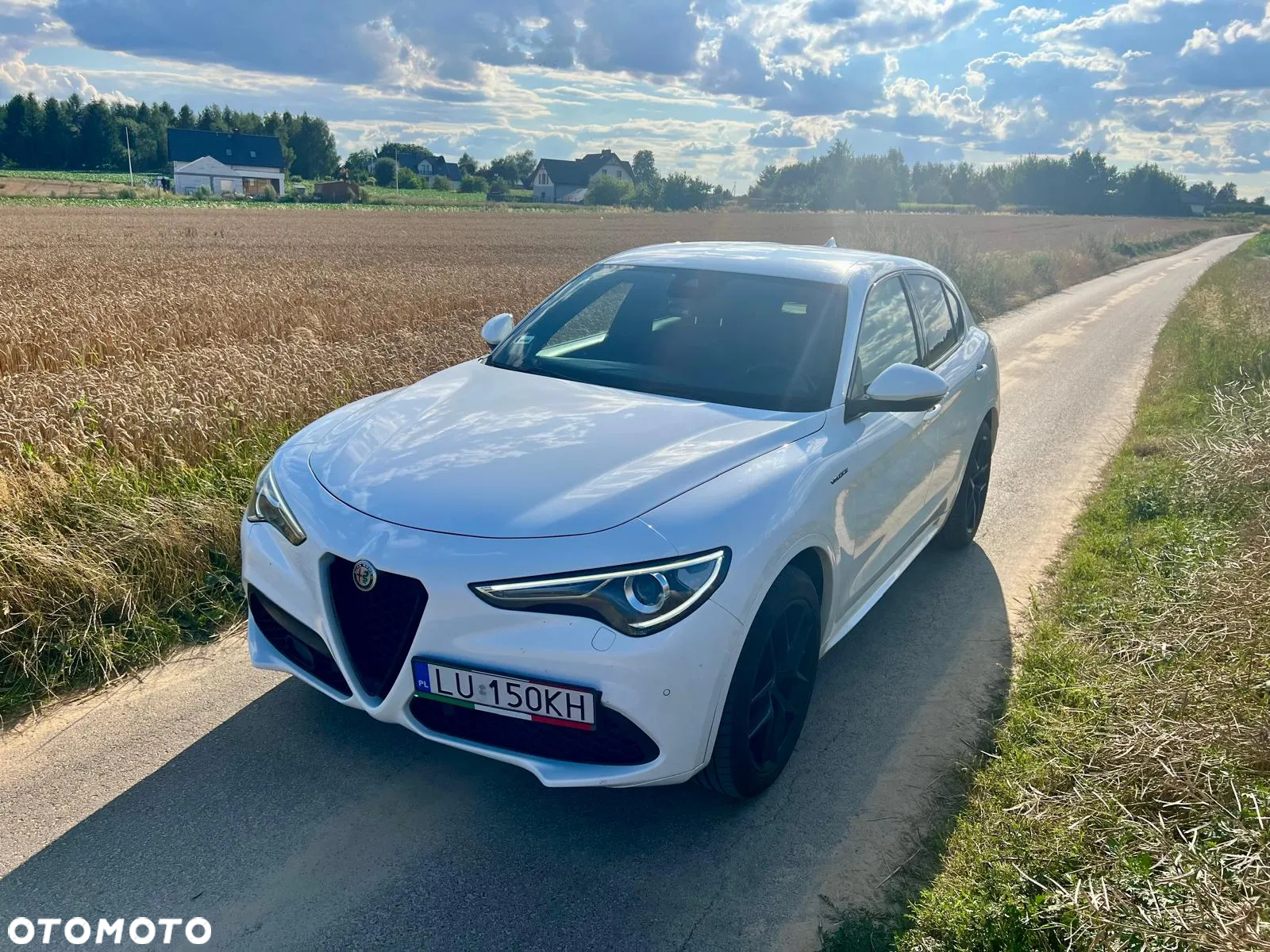 Alfa Romeo Stelvio 2.0 Turbo Veloce Q4 - 25