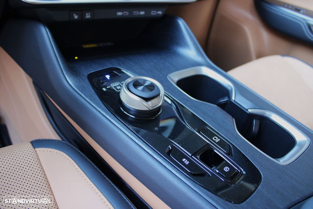 Lexus rz-300e Premium - 46