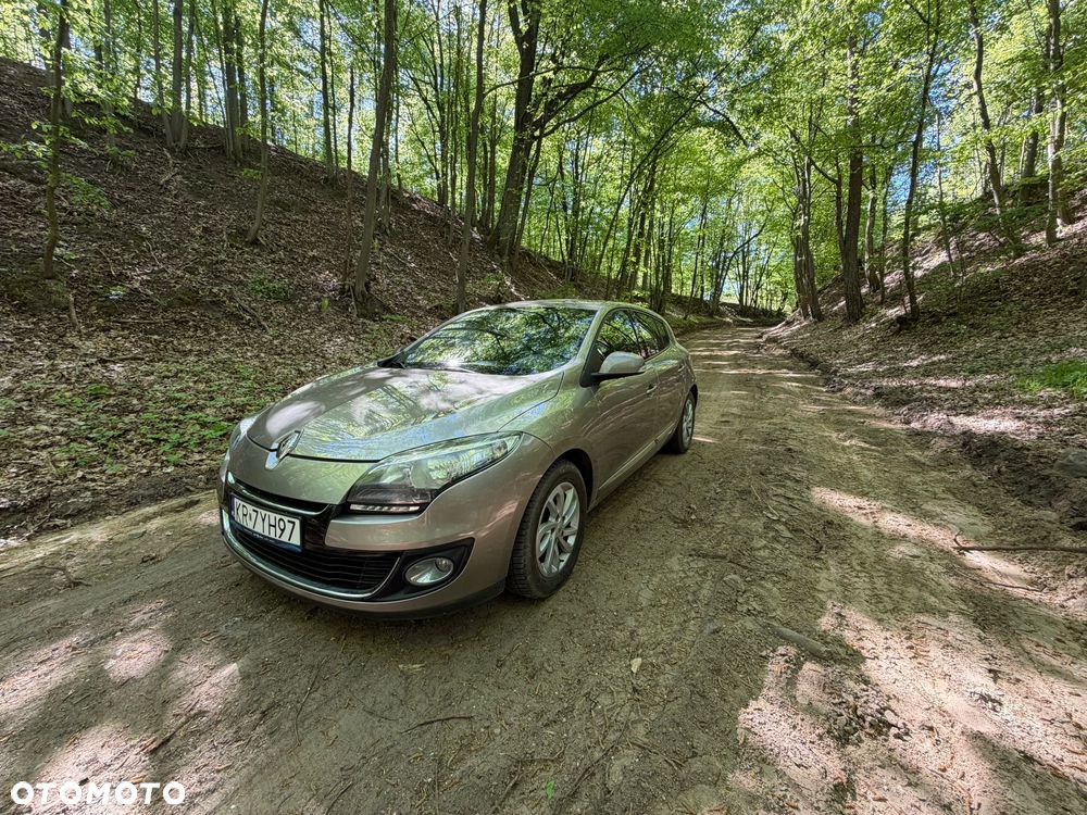 Renault Megane - 11