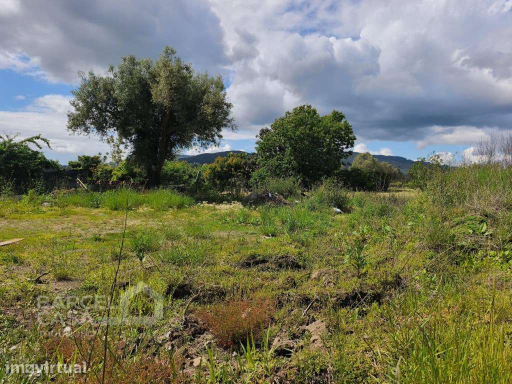 Terreno de construção em Cossourado - Barcelos - Grande imagem: 2/7