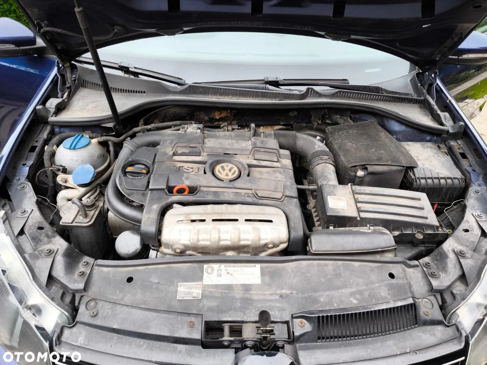 Volkswagen Golf - 10