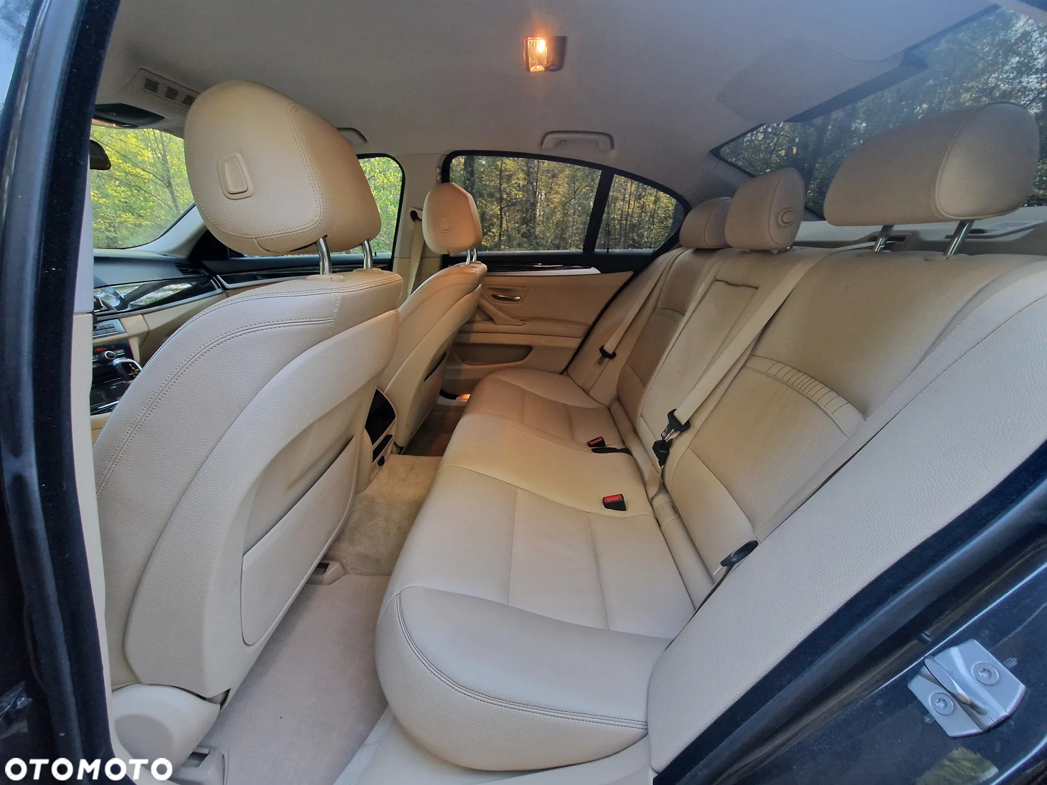 BMW Seria 5 520d Luxury Line sport - 21