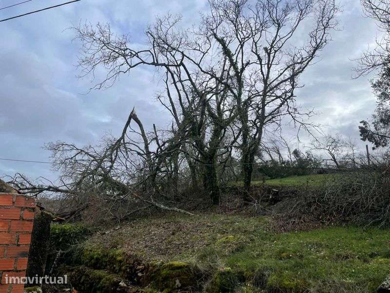 Moradia T2 à venda em Colmeias e Memória, Leiria — foto 3