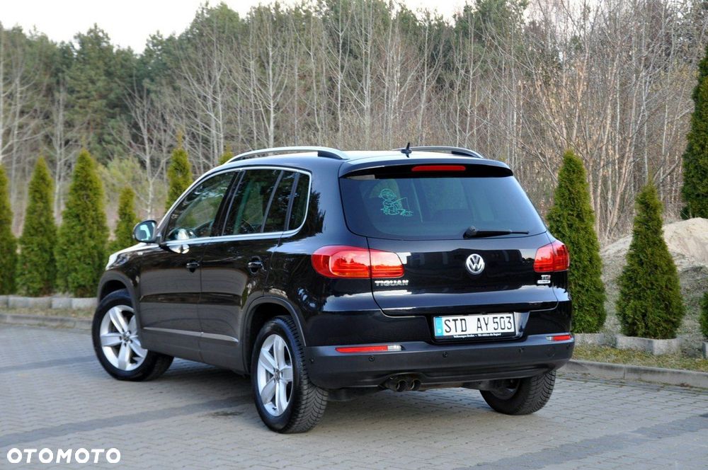 Volkswagen Tiguan - 14