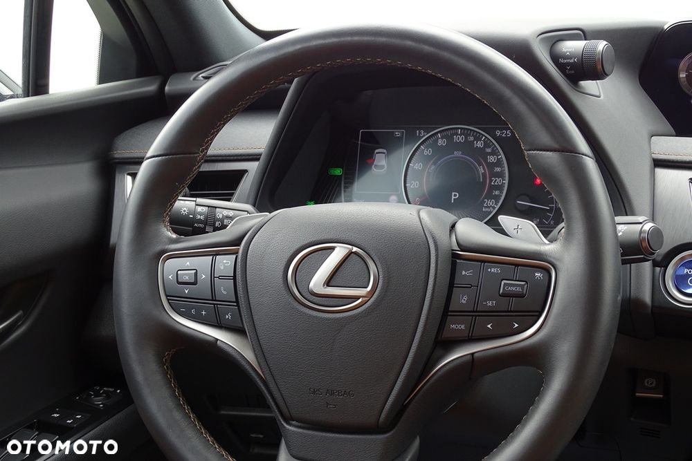 Lexus UX 300e 54.3 kWh Prestige 2WD - 38