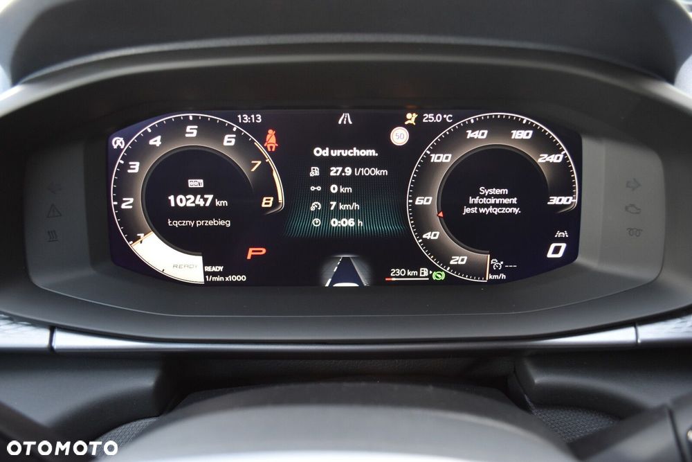 Cupra Terramar 1.5 eTSI mHEV DSG - 13
