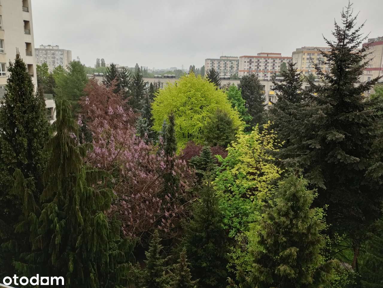 Zamknięte osiedle z parkiem i boiskiem | Widok na PKiN | Woronicza 78