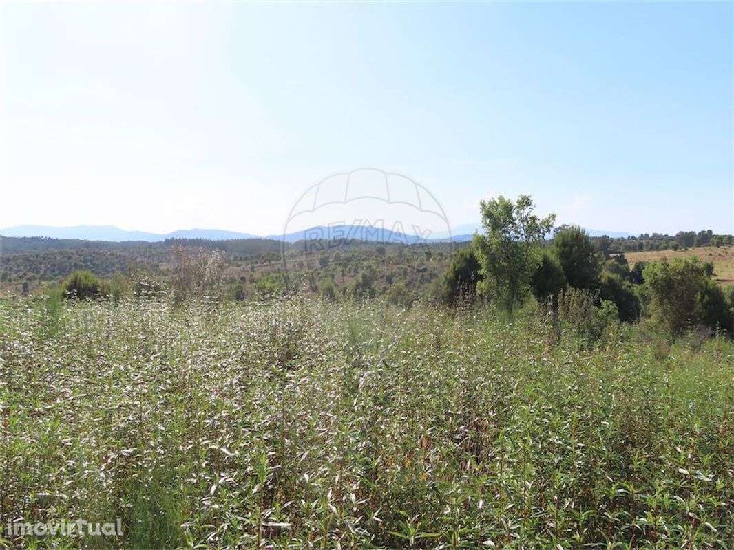 Quinta  para venda - Grande imagem: 5/13