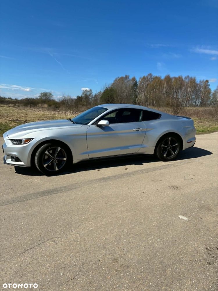 Ford Mustang 3.7 V6 - 5