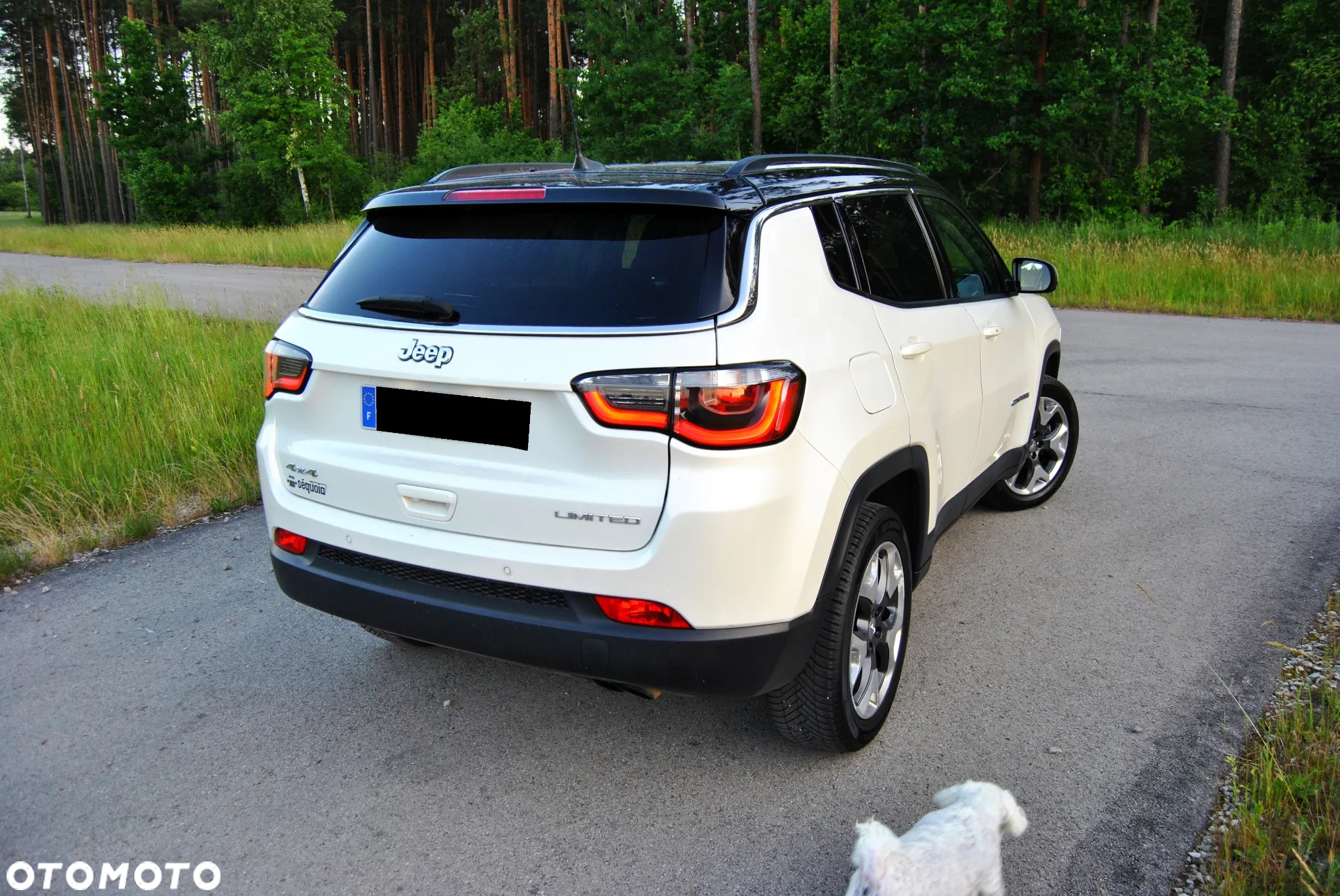 Jeep Compass 2.0 MJD Limited 4WD S&S - 3