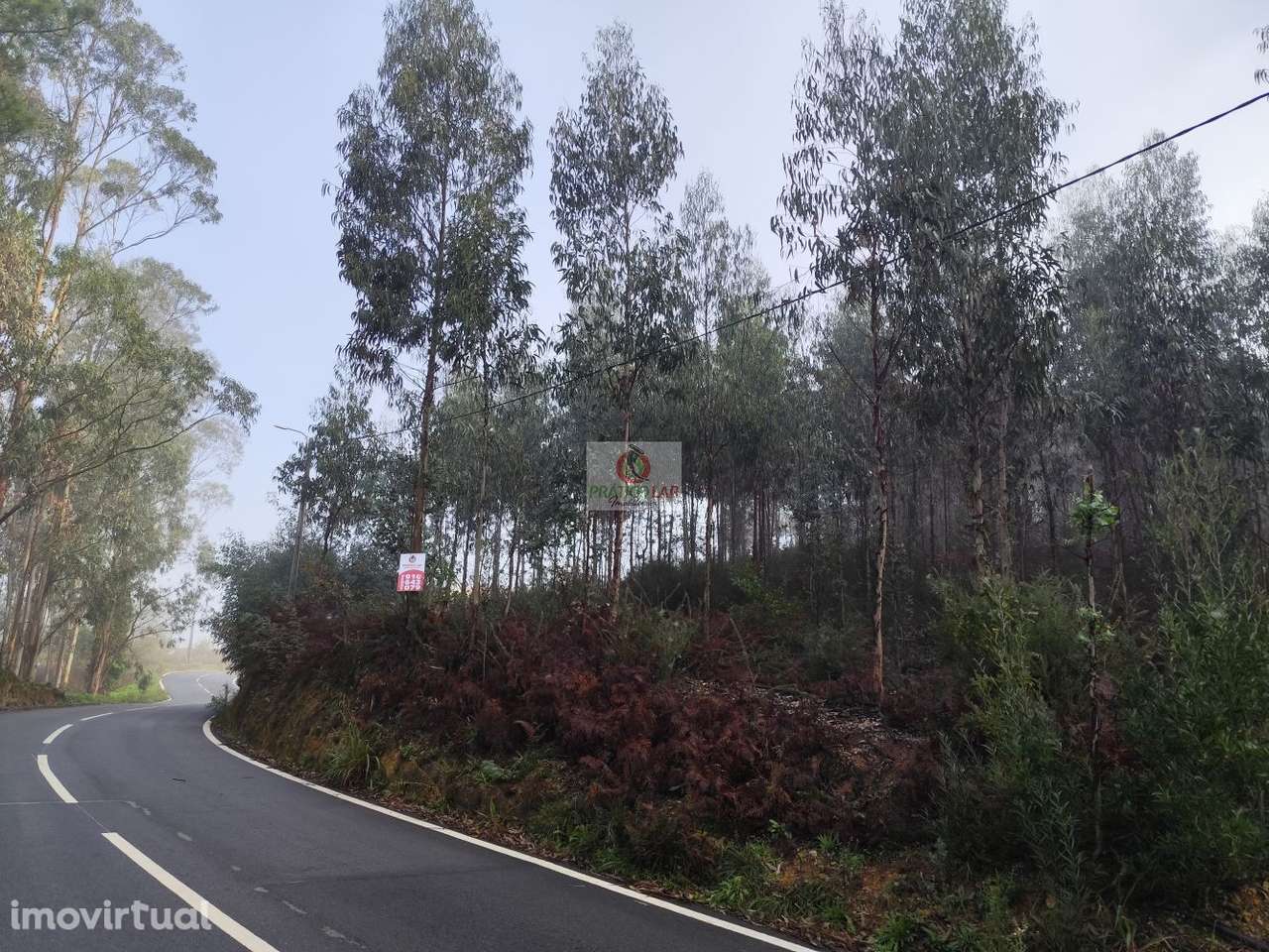 Terreno em Zevedinho, Cedrim com viabilidade de construção - Grande imagem: 2/15