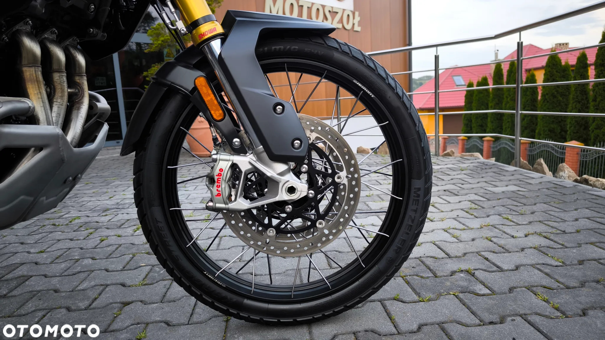 Triumph Tiger - 29