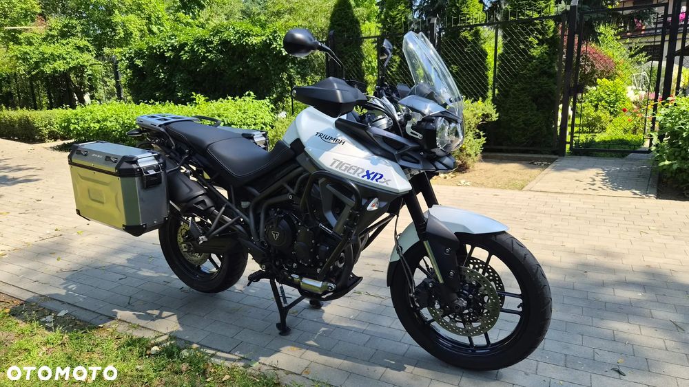 Triumph Tiger - 6