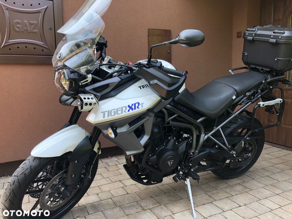 Triumph Tiger - 14