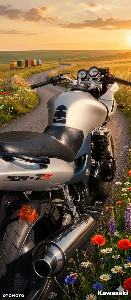 Kawasaki ZR - 4