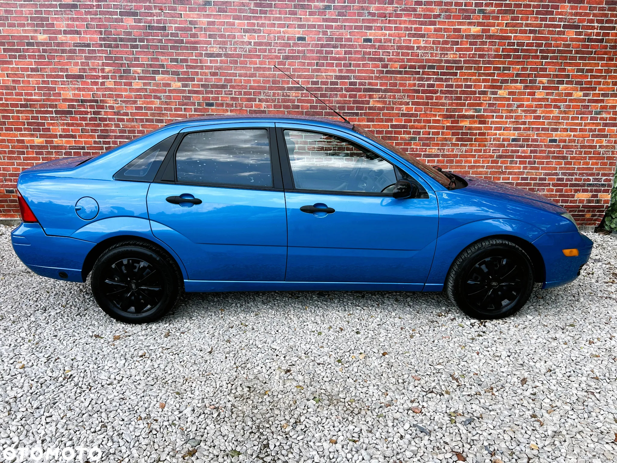 Ford Focus - 38