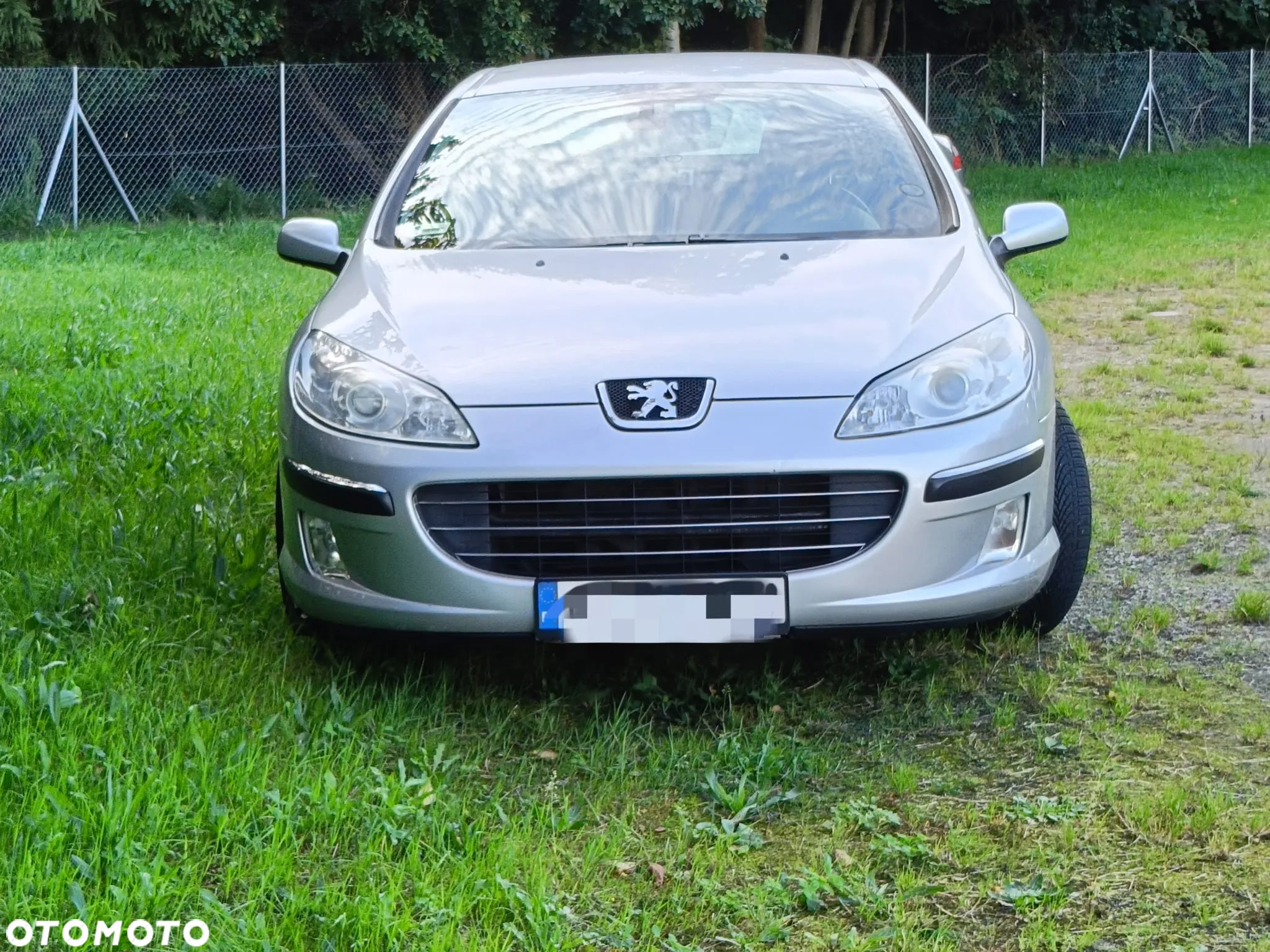 Peugeot 407 - 6