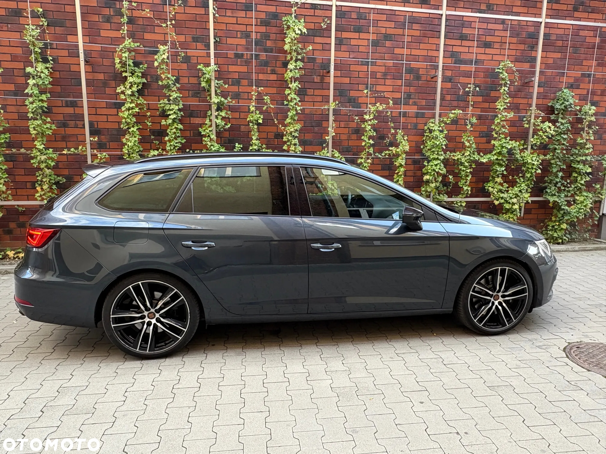 Seat Leon - 3