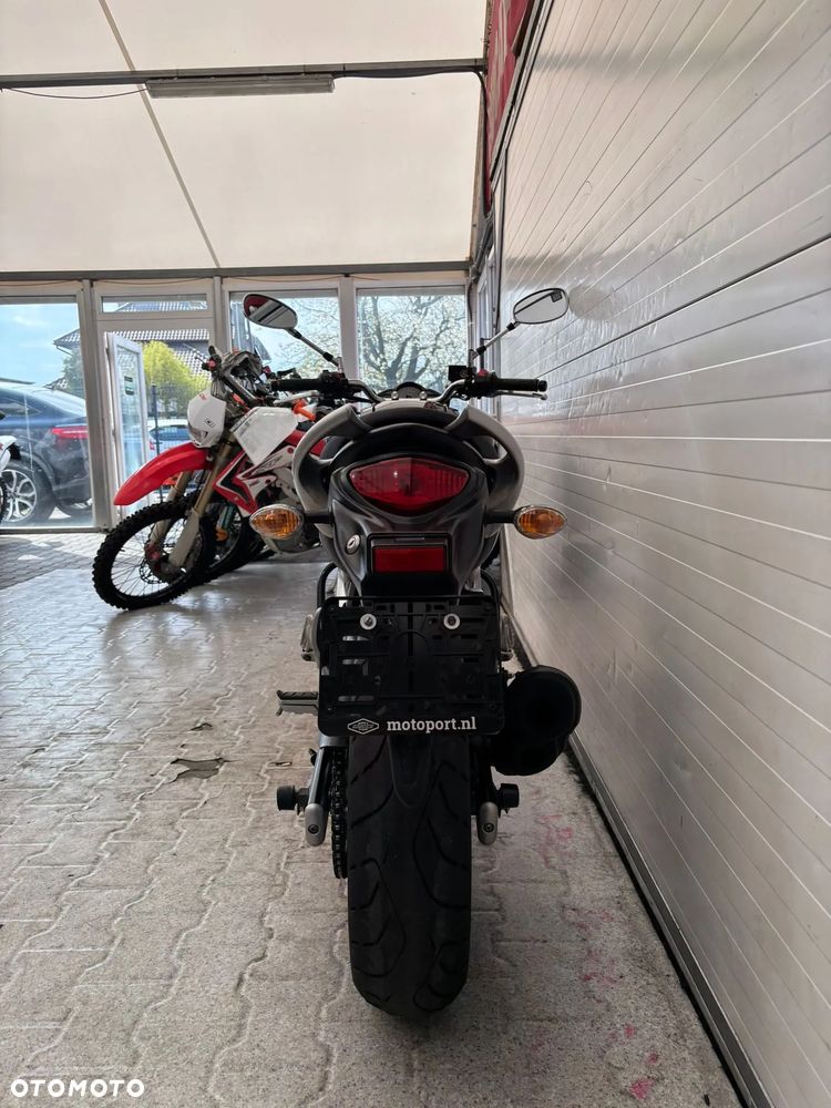 Suzuki Gladius - 28