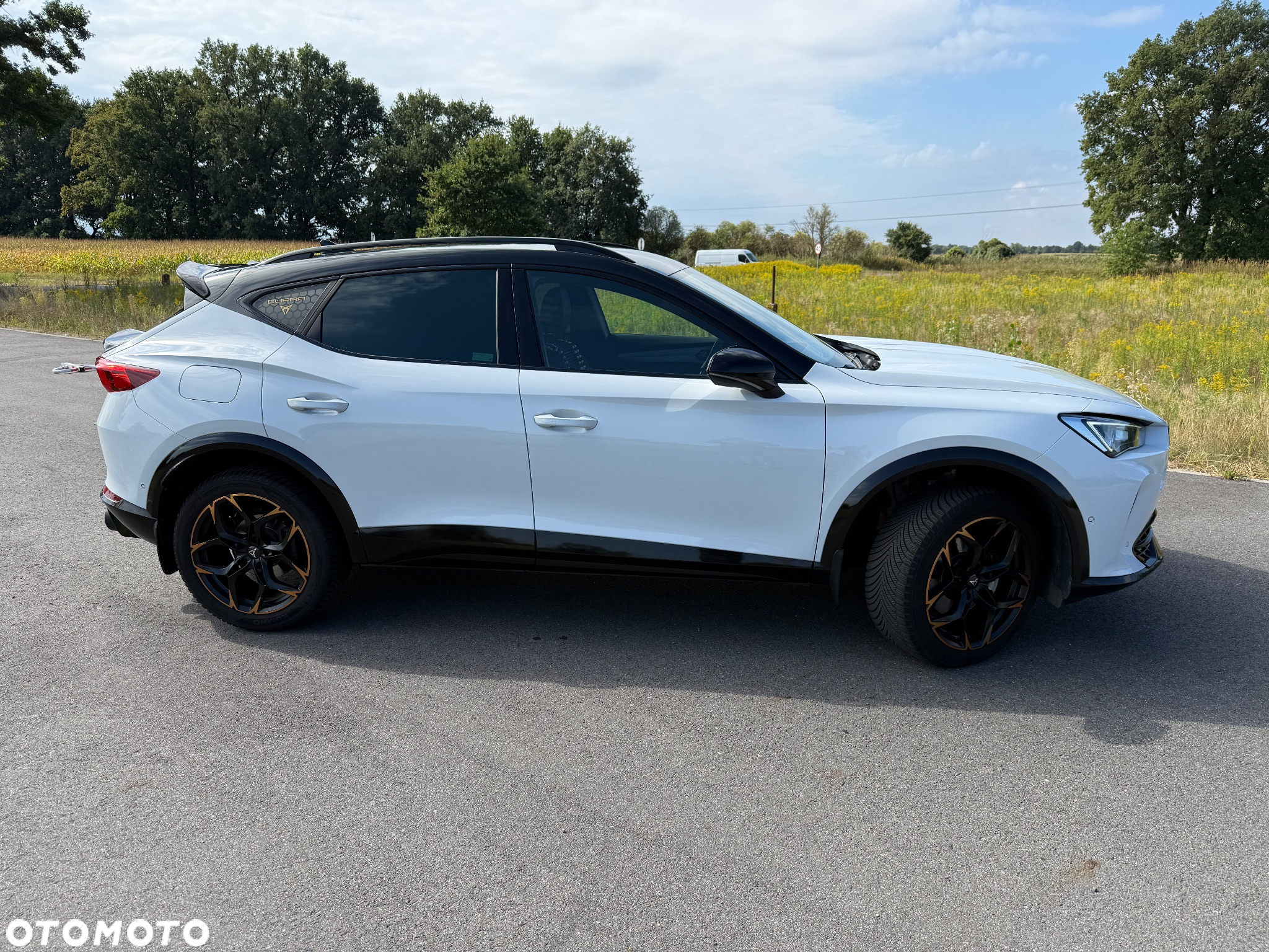 Cupra Formentor 1.5 TSI DSG - 4