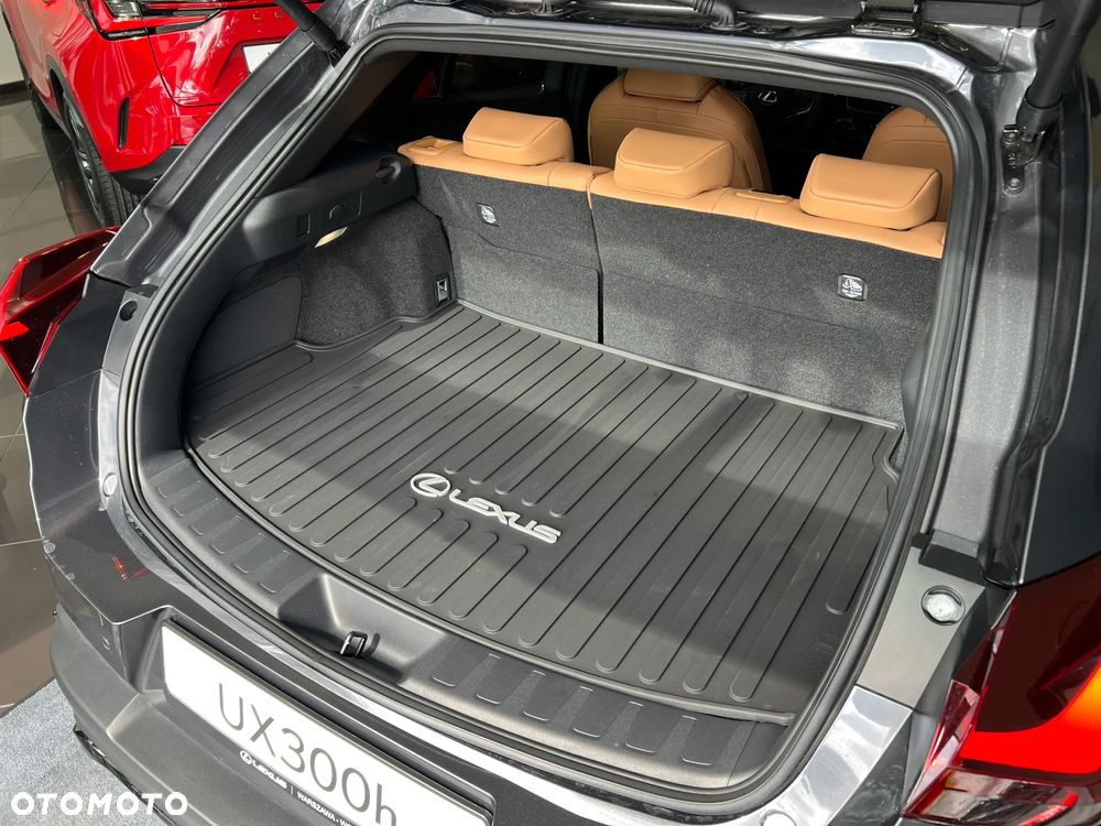 Lexus UX 300h F Sport Design - 11