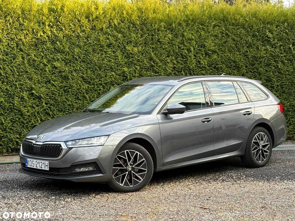 Skoda Octavia - 3