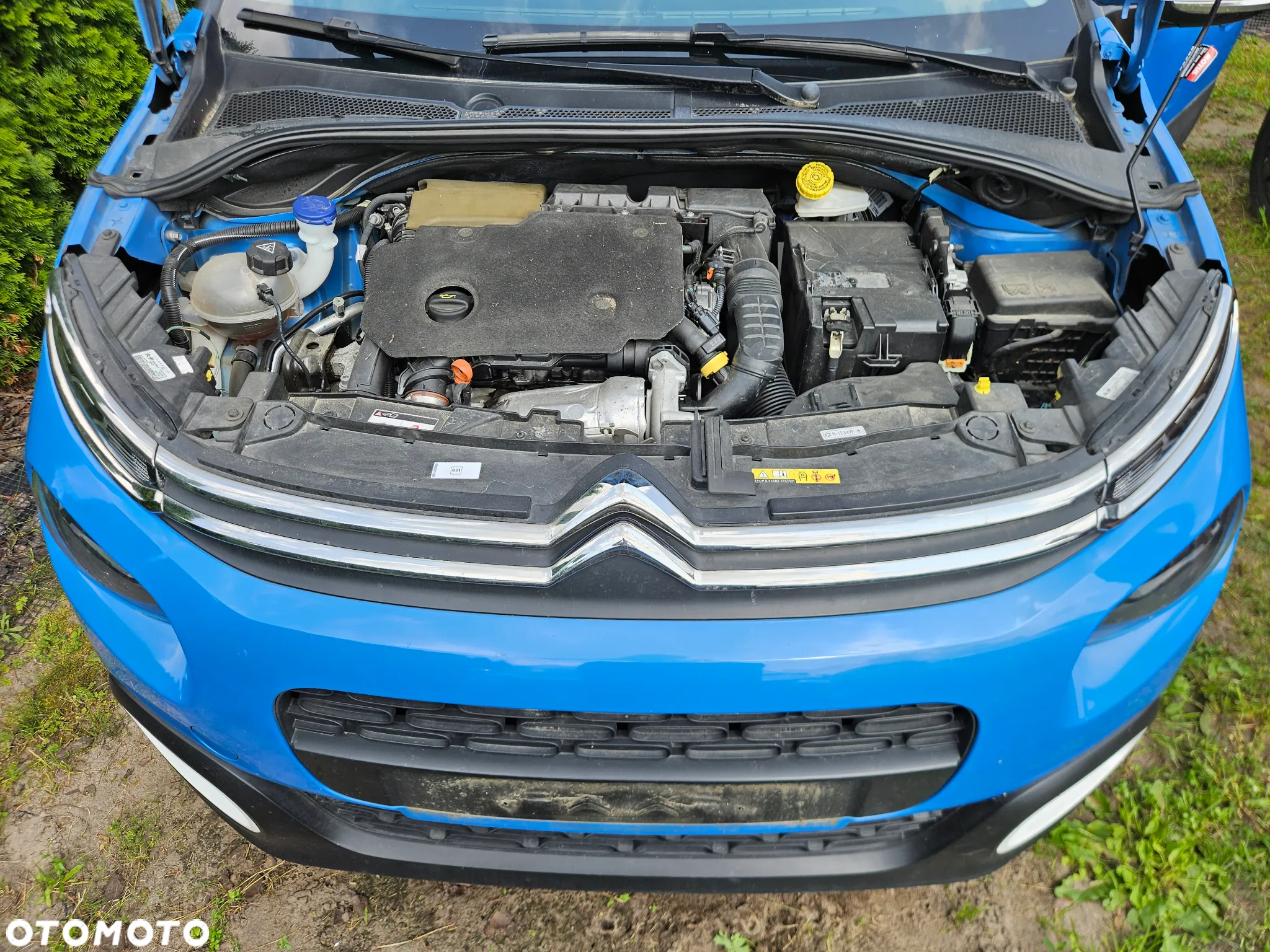 Citroën C3 1.5 BlueHDi Shine - 8