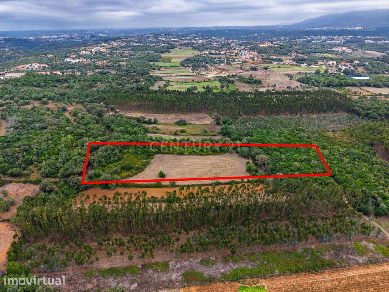 Terreno Rústico com 9.900 m² | Natureza e Tranquilidade | Algar da Fig - Grande imagem: 5/12