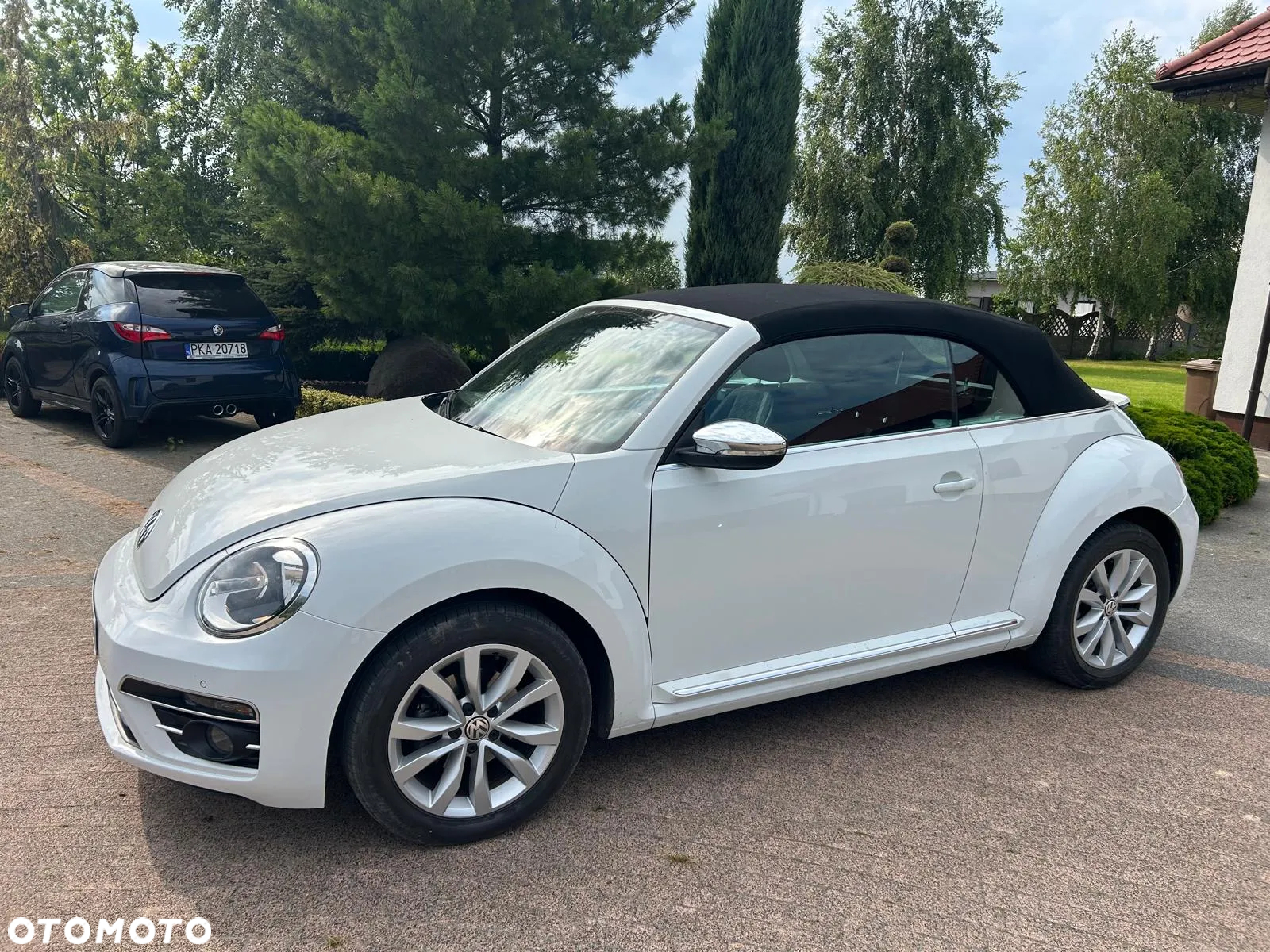 Volkswagen Beetle - 9