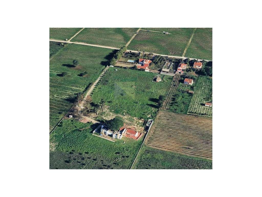 LOTE DE TERRENO COM 6000M2 - ENTRE PINHAL NOVO E PALMELA - Grande imagem: 4/8