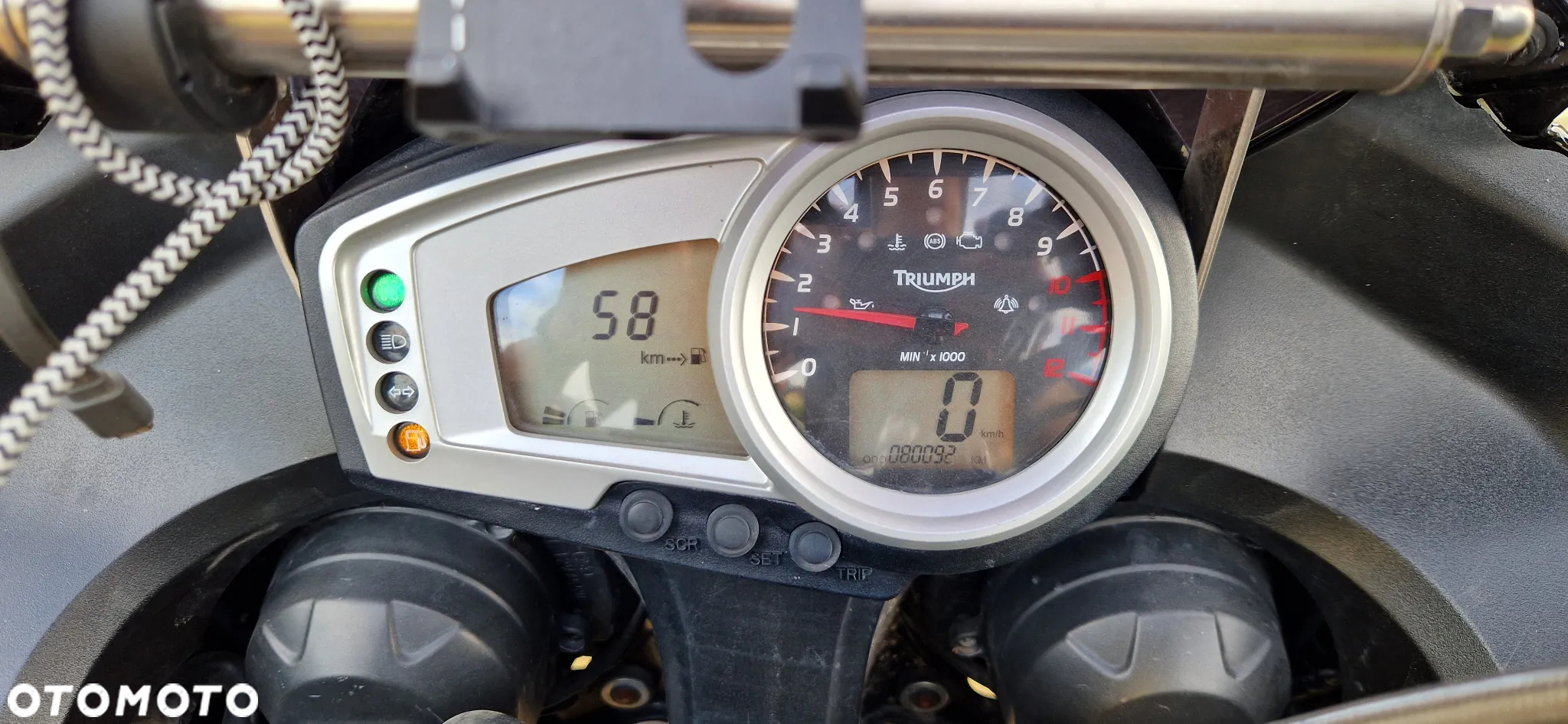 Triumph Tiger - 7