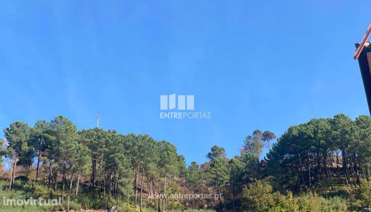 Venda Terreno, São Cristóvão de Nogueira, Cinfães - Grande imagem: 2/8