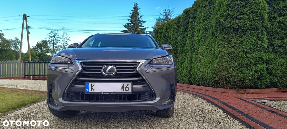 Lexus NX 300h Elite AWD - 1
