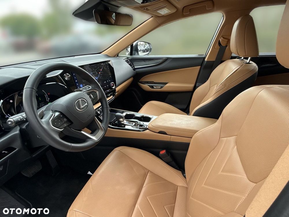 Lexus NX - 10