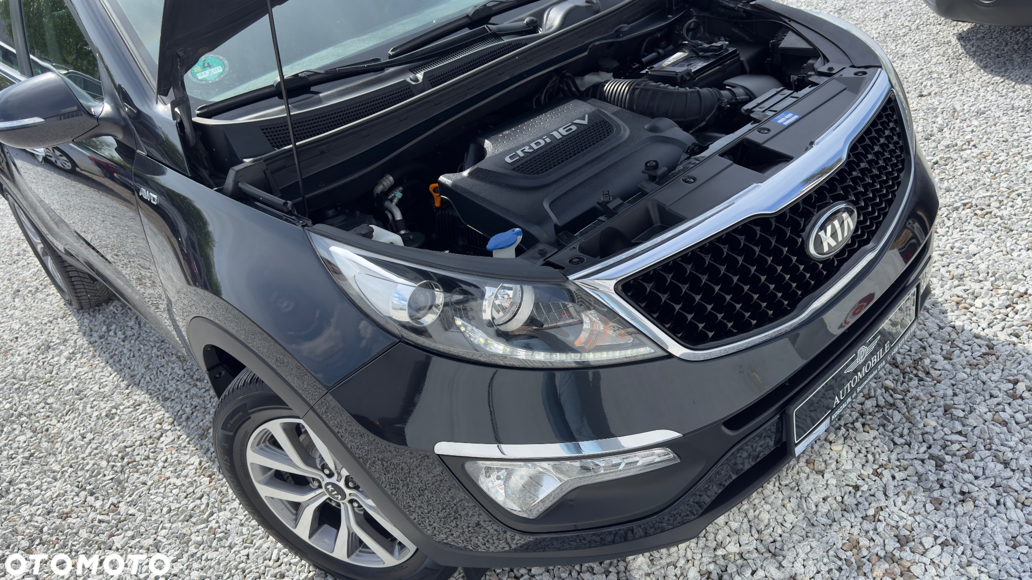 Kia Sportage 2.0 CRDI 184 4WD Fifa World Cup Edition - 27
