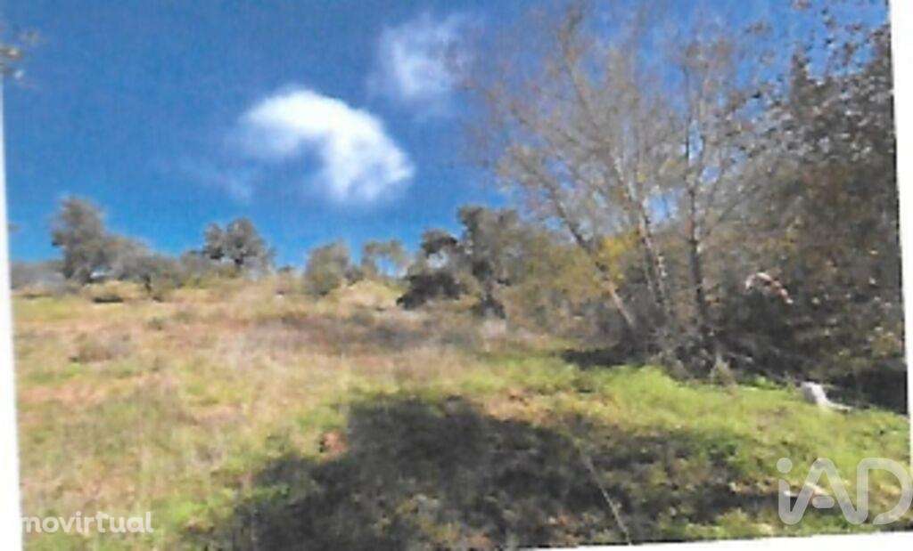 Terreno em São Brás de Alportel - Grande imagem: 5/16