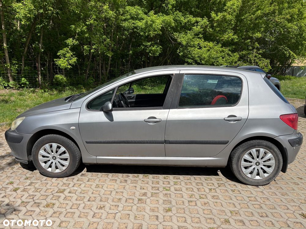 Peugeot 307 1.6 Mistral - 1