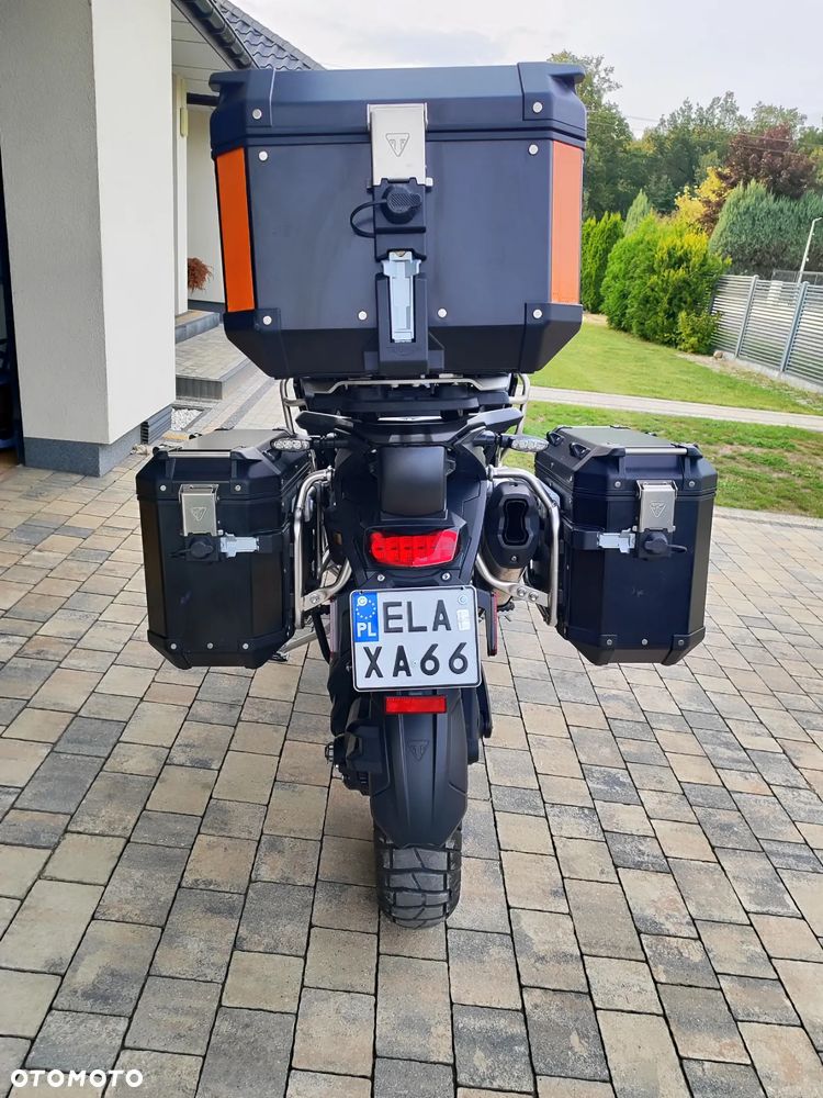 Triumph Tiger - 31