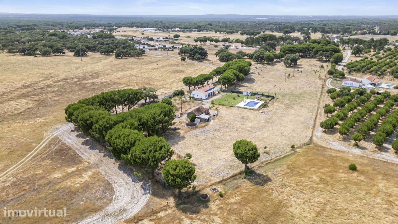 Quintinha 2.2 ha, Grandola - Grande imagem: 4/36