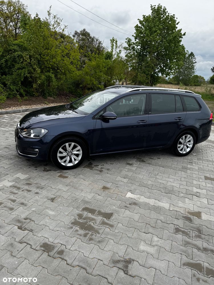 Volkswagen Golf 1.6 TDI BlueMotion Technology Allstar - 2
