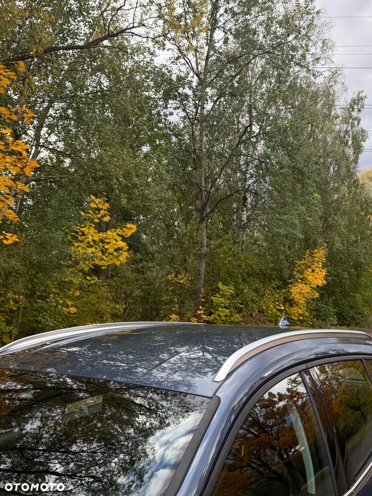 Ford Focus - 7